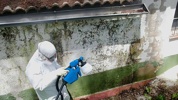 Top rated local Attic Mold Removal specialists in Hatfield, PA